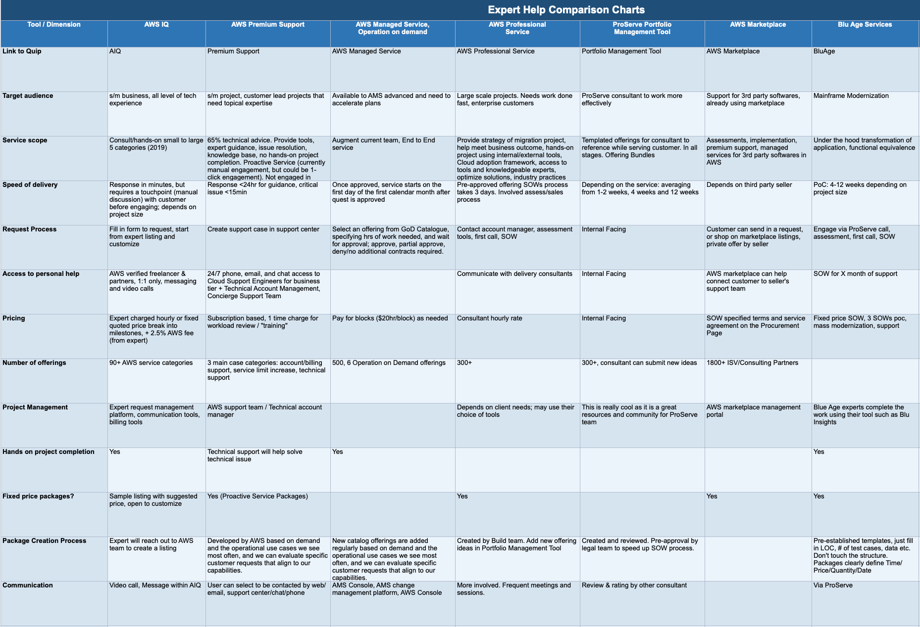 Competitive analysis comparing AWS ProServe, AWS IQ, AWS Support, and ProHelp